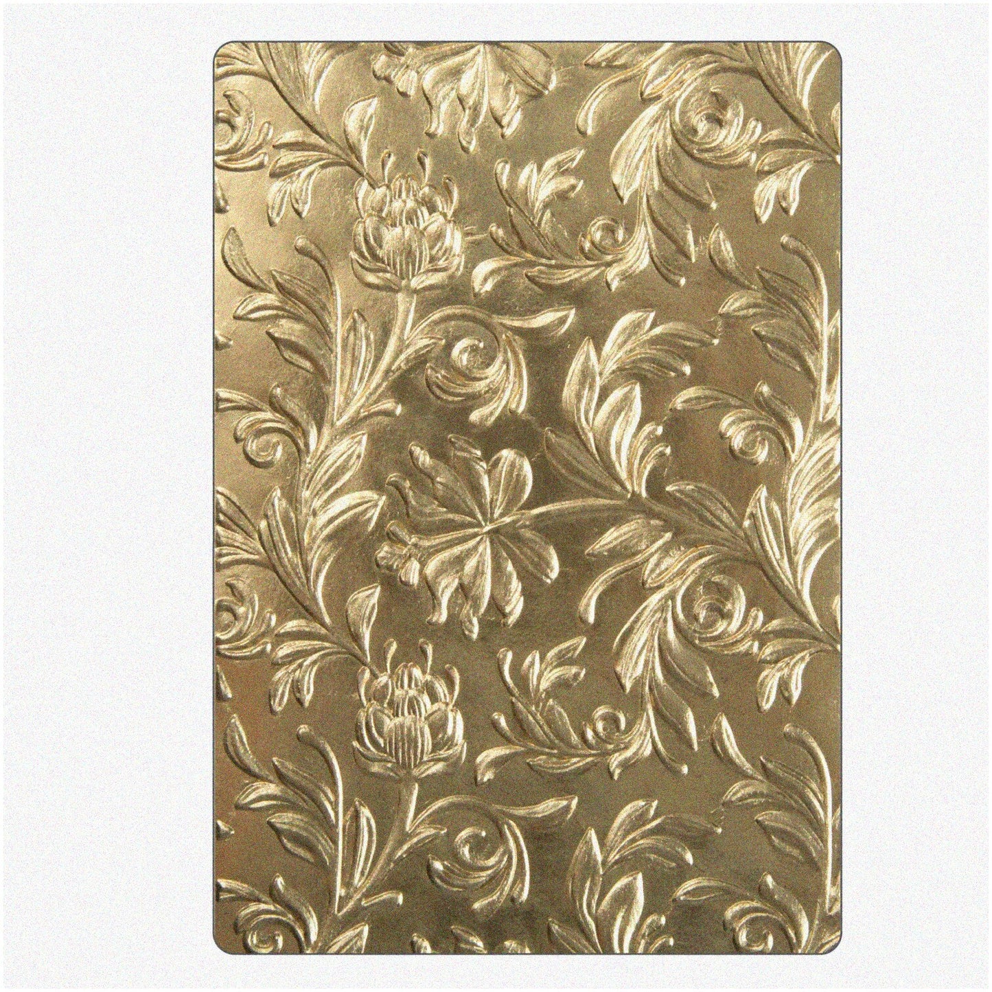 Botanical Bliss 3-D Texture Fades Embossing Folder