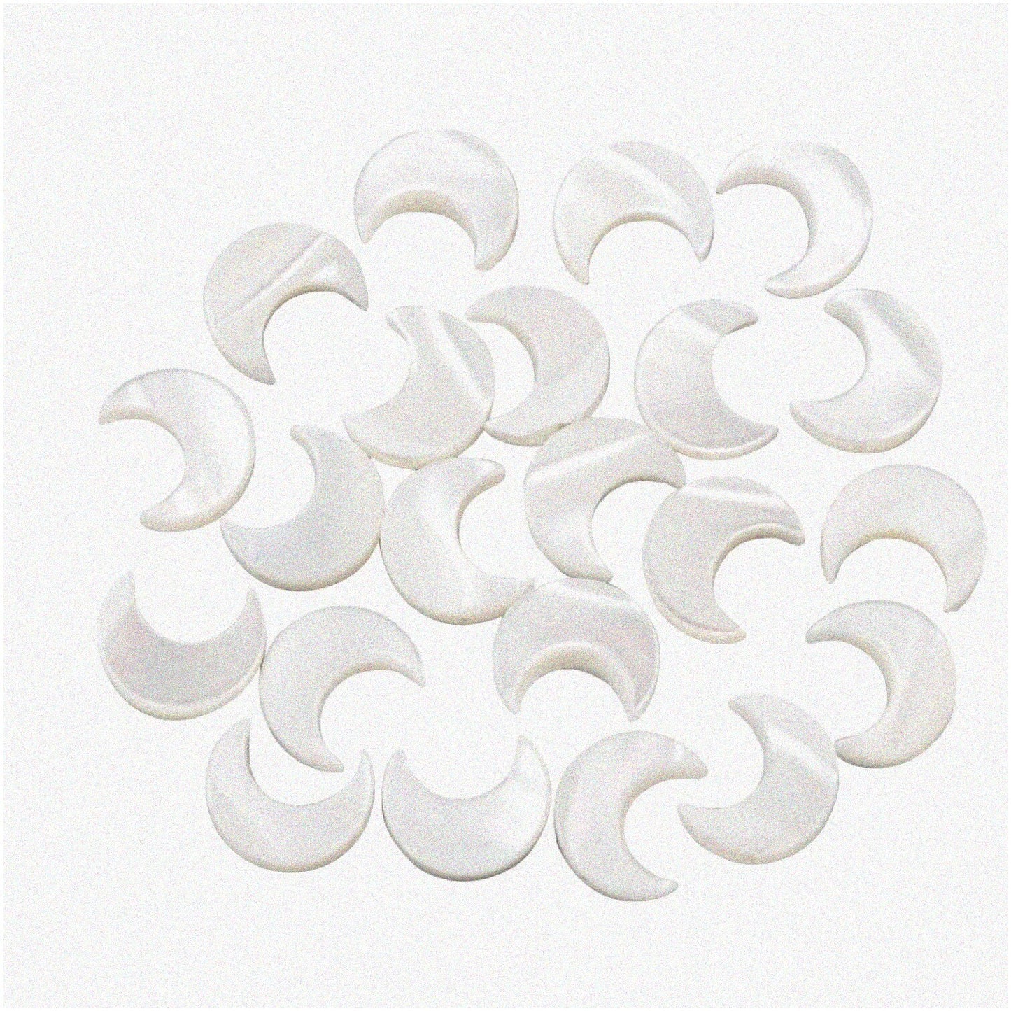 30 Pcs Natural Trochid Shell Beads for Jewelry Making