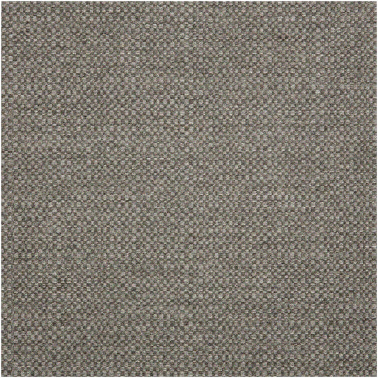 Sustainable Action Fabric 44285-0002 Stone Elegance