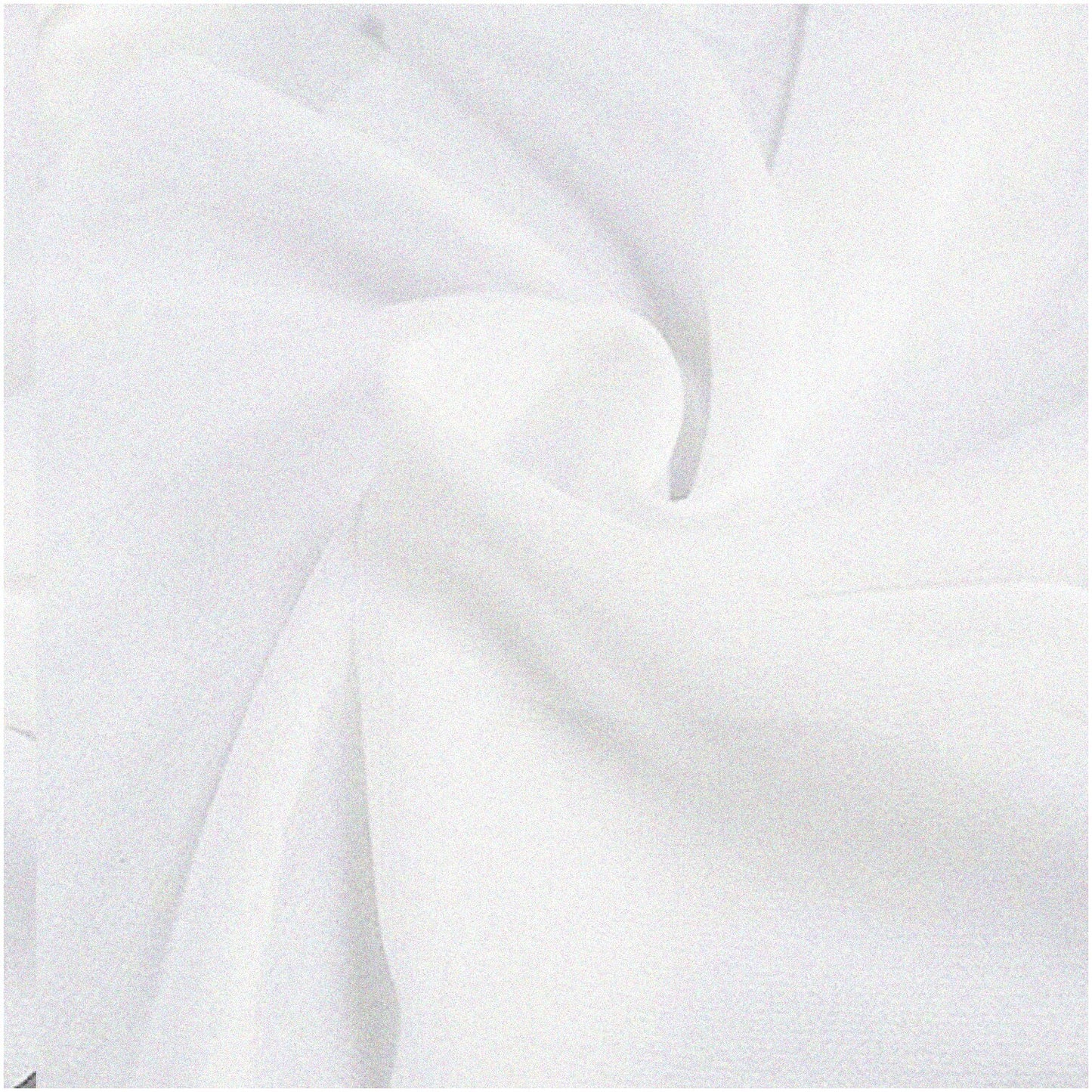 White Sheer Chiffon Fabric 59 Yards Continuous Roll