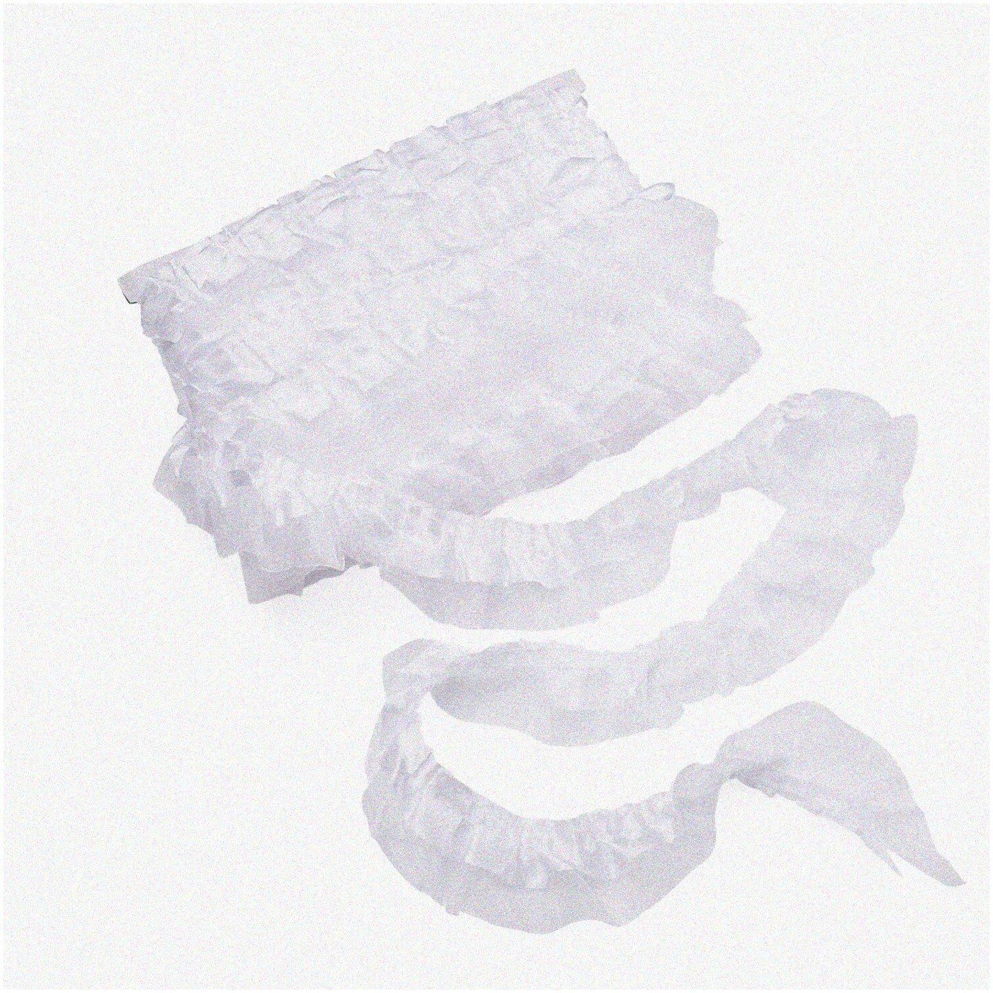 2-Layer Organza Lace Trim White 21.8 Yards