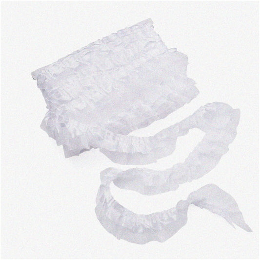 2-Layer Organza Lace Trim White 21.8 Yards