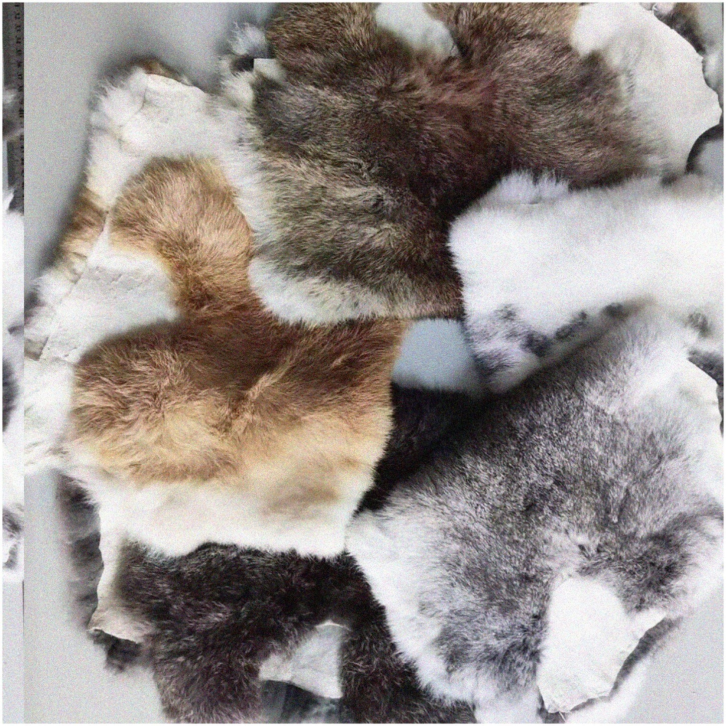 6-Pack Natural Rabbit Pelts 10" x 14"