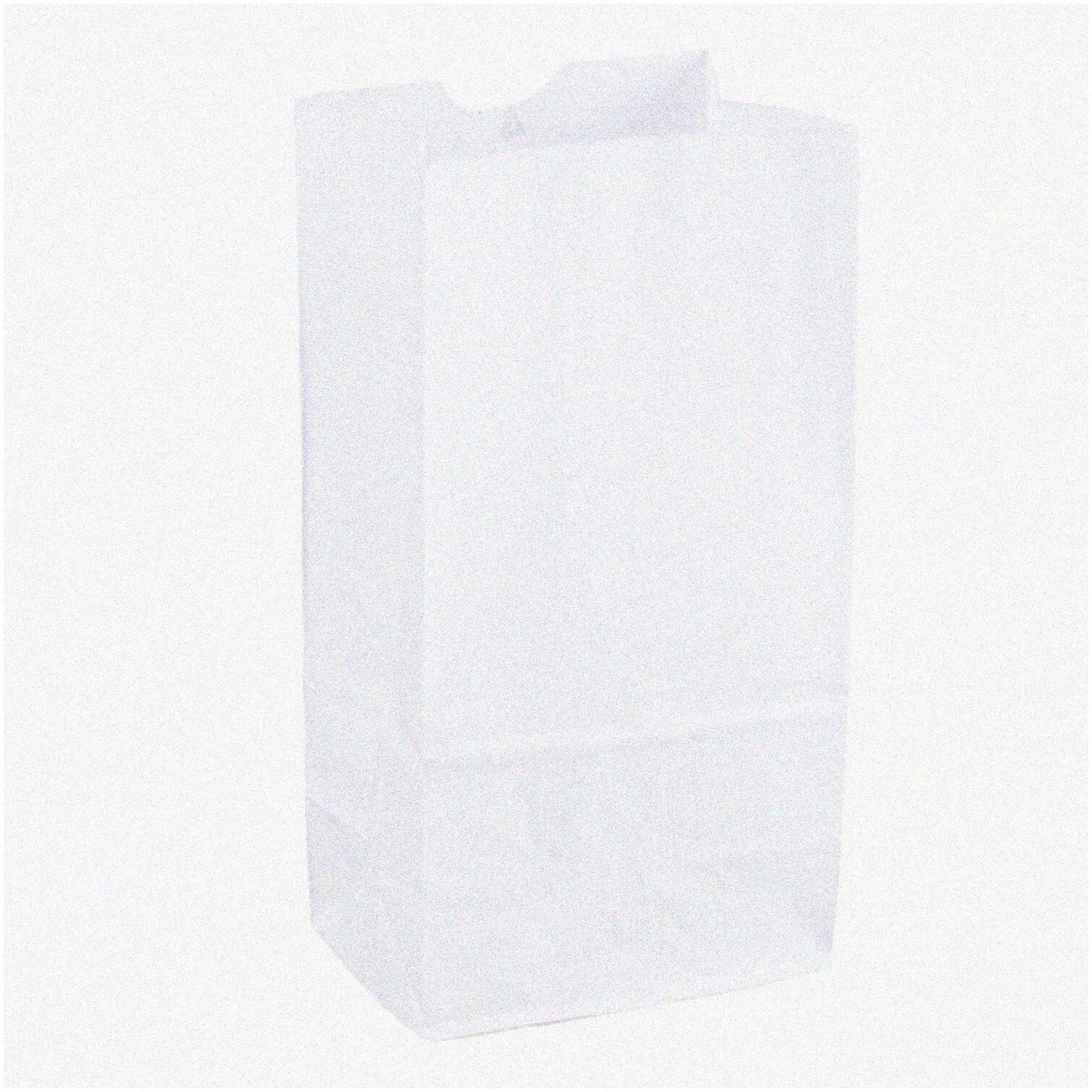 2lb White Kraft Paper Bags 100ct Pack