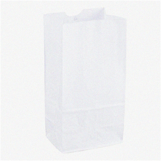 2lb White Kraft Paper Bags 100ct Pack