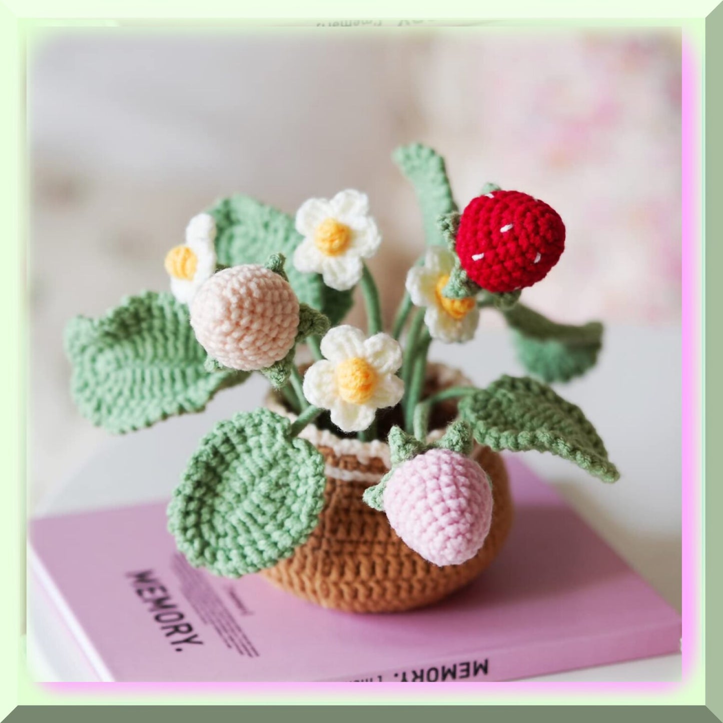 Strawberry Stitch Crochet & Knitting Starter Kit
