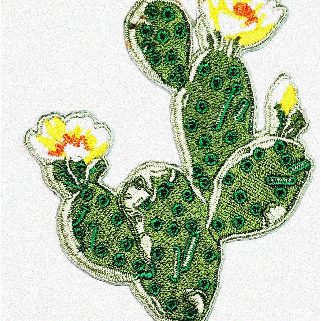 Southwest Desert Bloom Embroidered Patch Collection