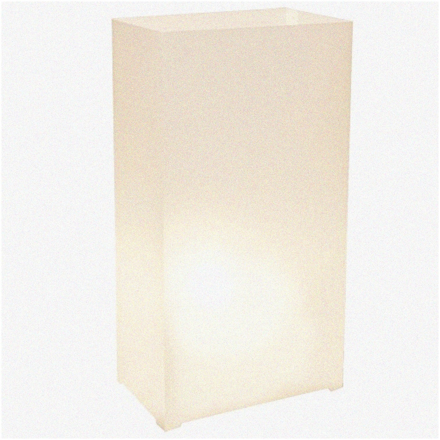 10 White Plastic Luminaria Lanterns