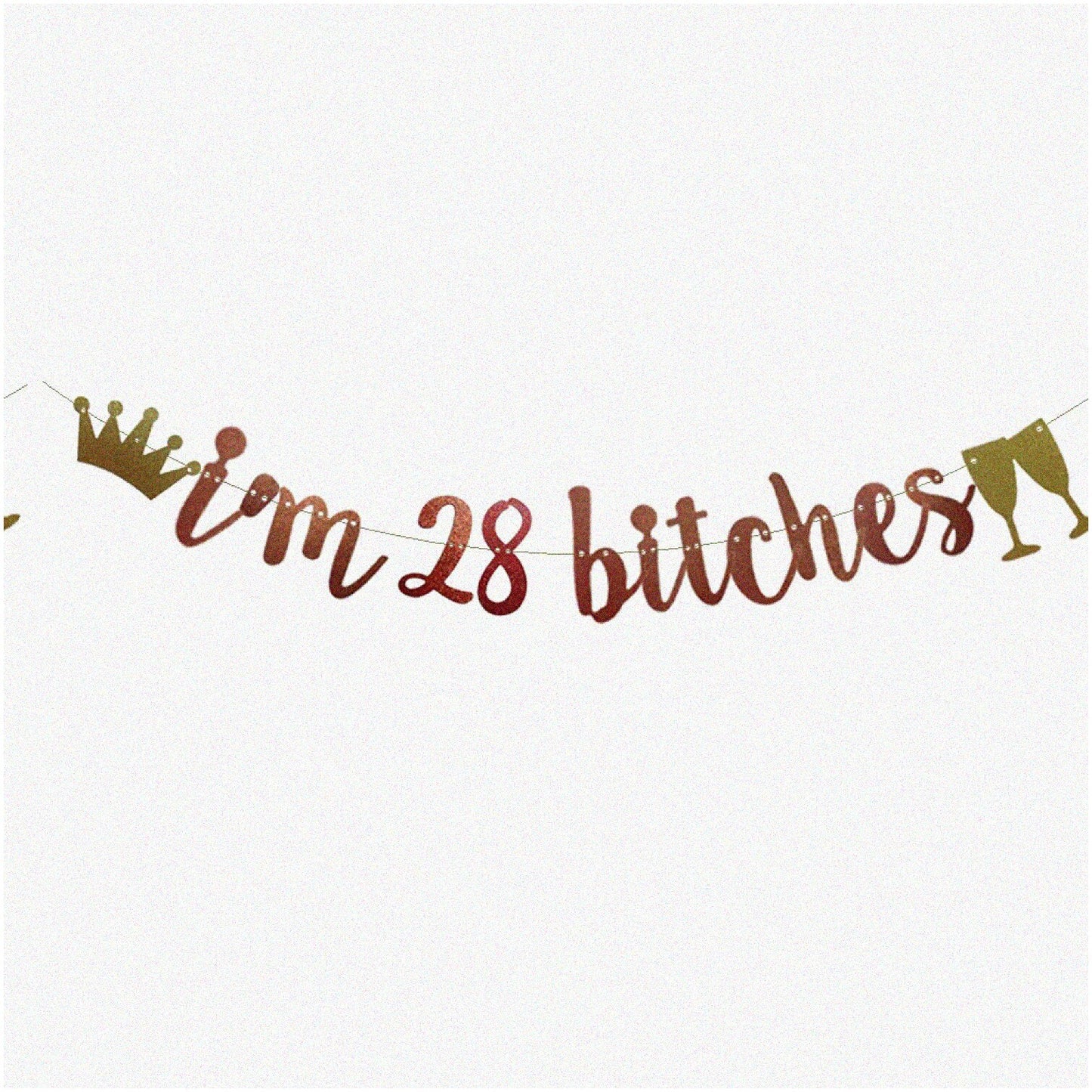 28th Birthday Rose Gold Glitter Banner