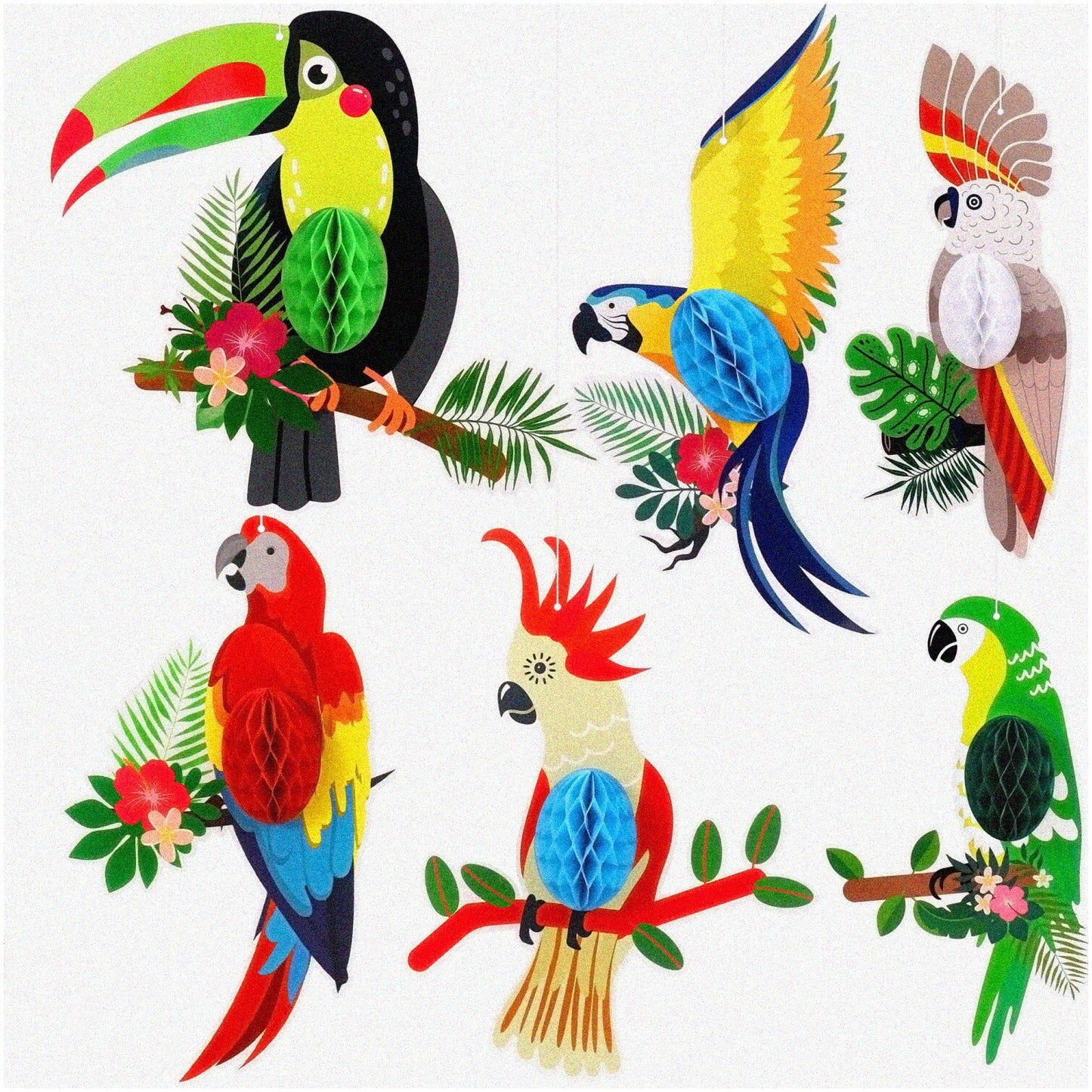 Tropical Bird Decorations Set of 6