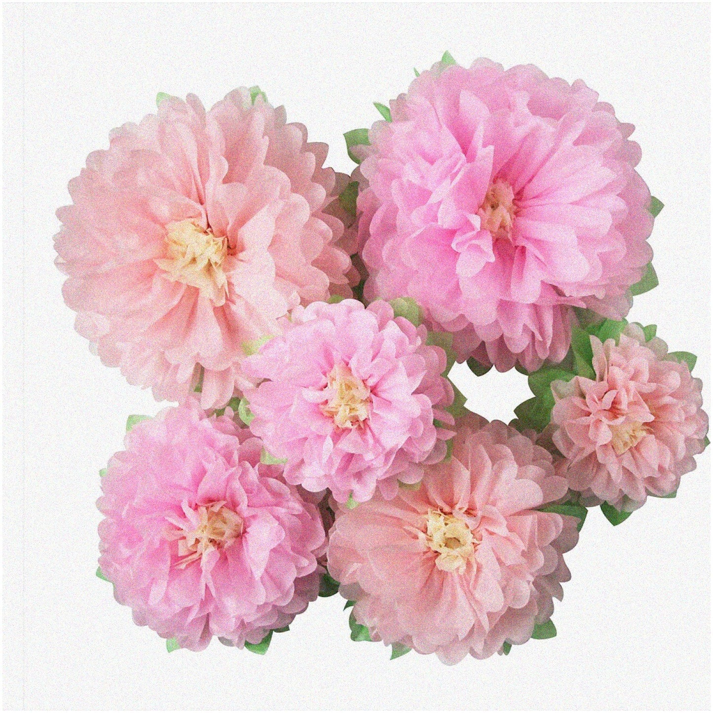 6pcs Pink Tissue Paper Flowers Assorted 7-11 Inches