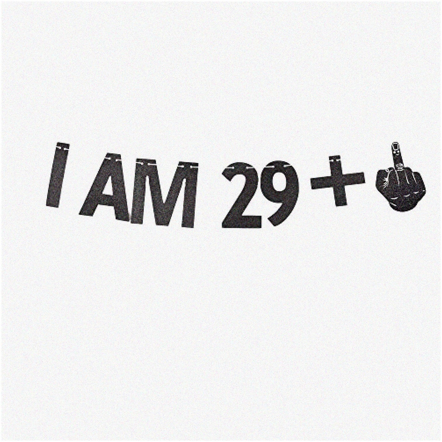 Forever 29+1 Celebration Kit with Black Glitter Paper Props