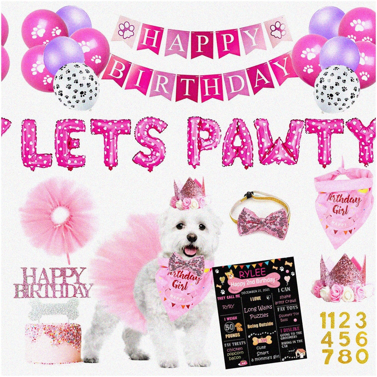 Dog Birthday Party Set for Small and Medium Girls