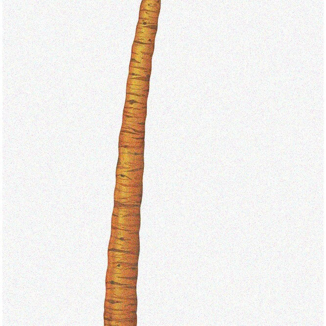 Tropical Tiki Oasis Jointed Palm Tree Wall Decor 6ft