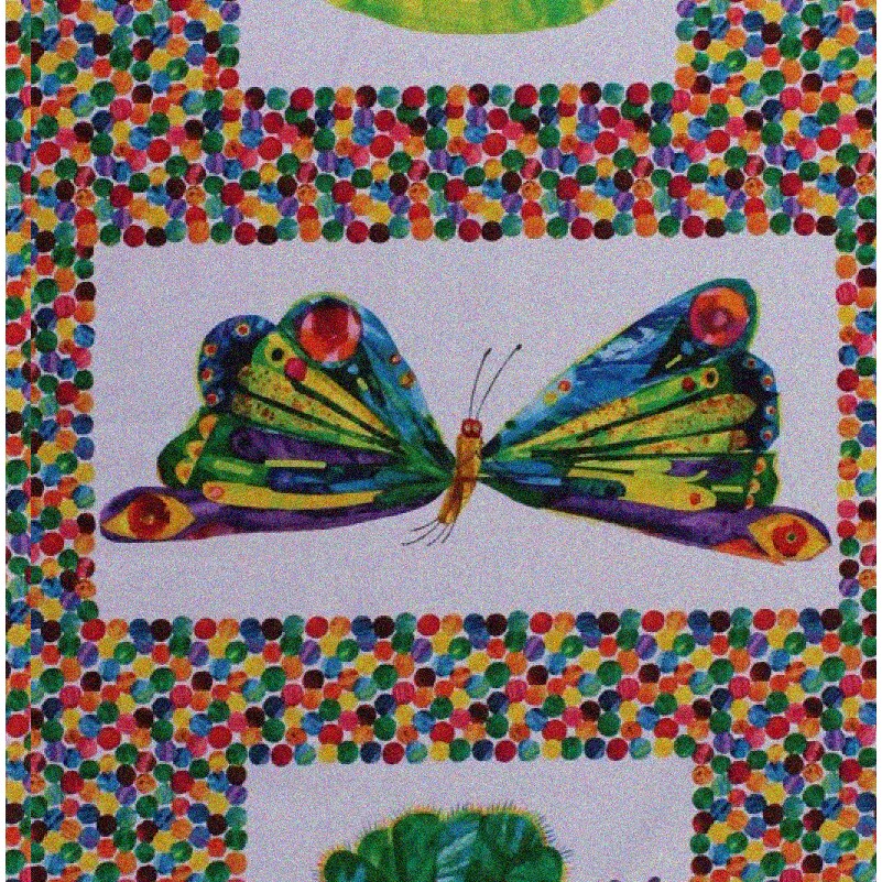 Cotton Fabric Panel 23" x 45" with Insects and Bugs