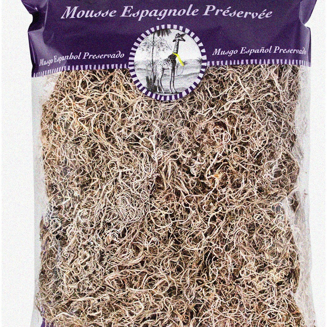 Spanish Moss - Naturally Dried, 8oz