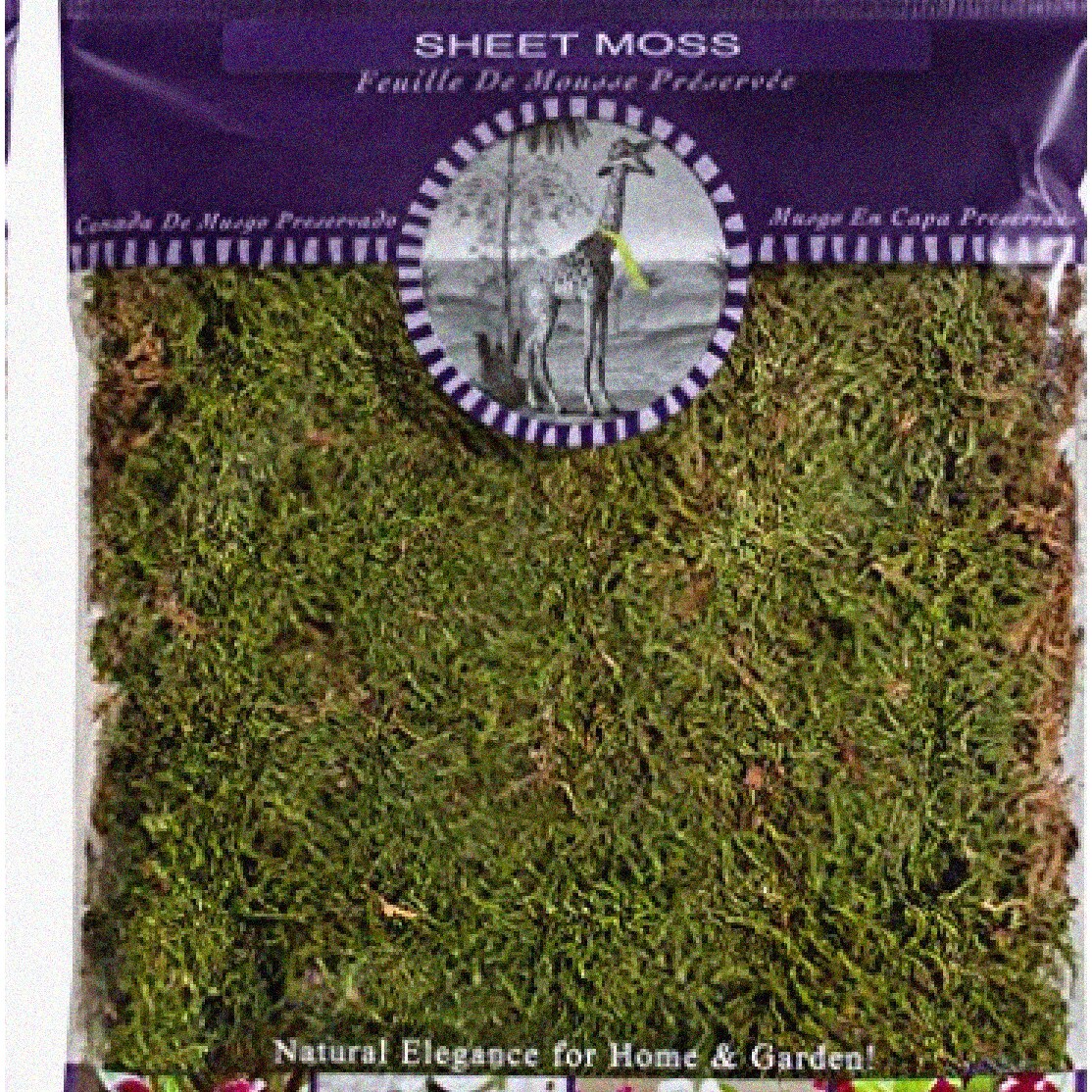 Dried Sheet Moss 2oz Natural Greenery for Crafts and Arrangements