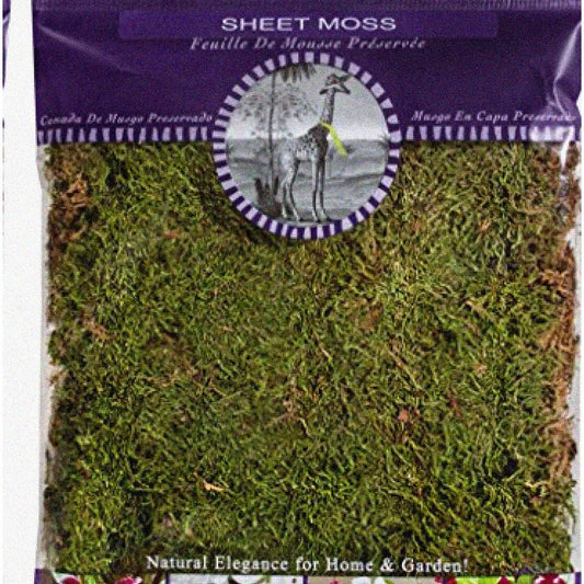 Dried Sheet Moss 2oz for Crafts and Arrangements