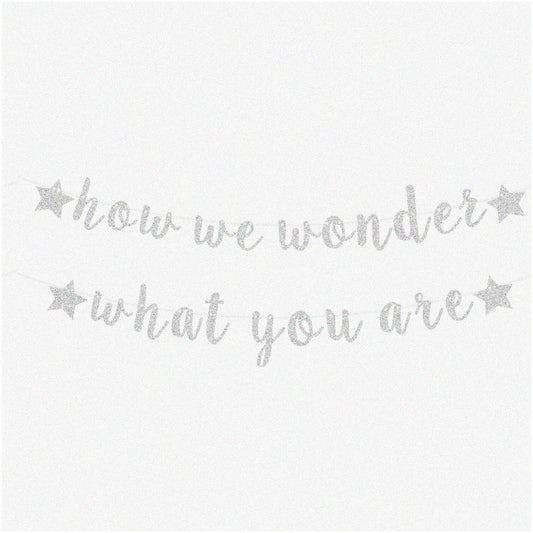 Gender Reveal Banner, Silver Glitter, Pre-strung