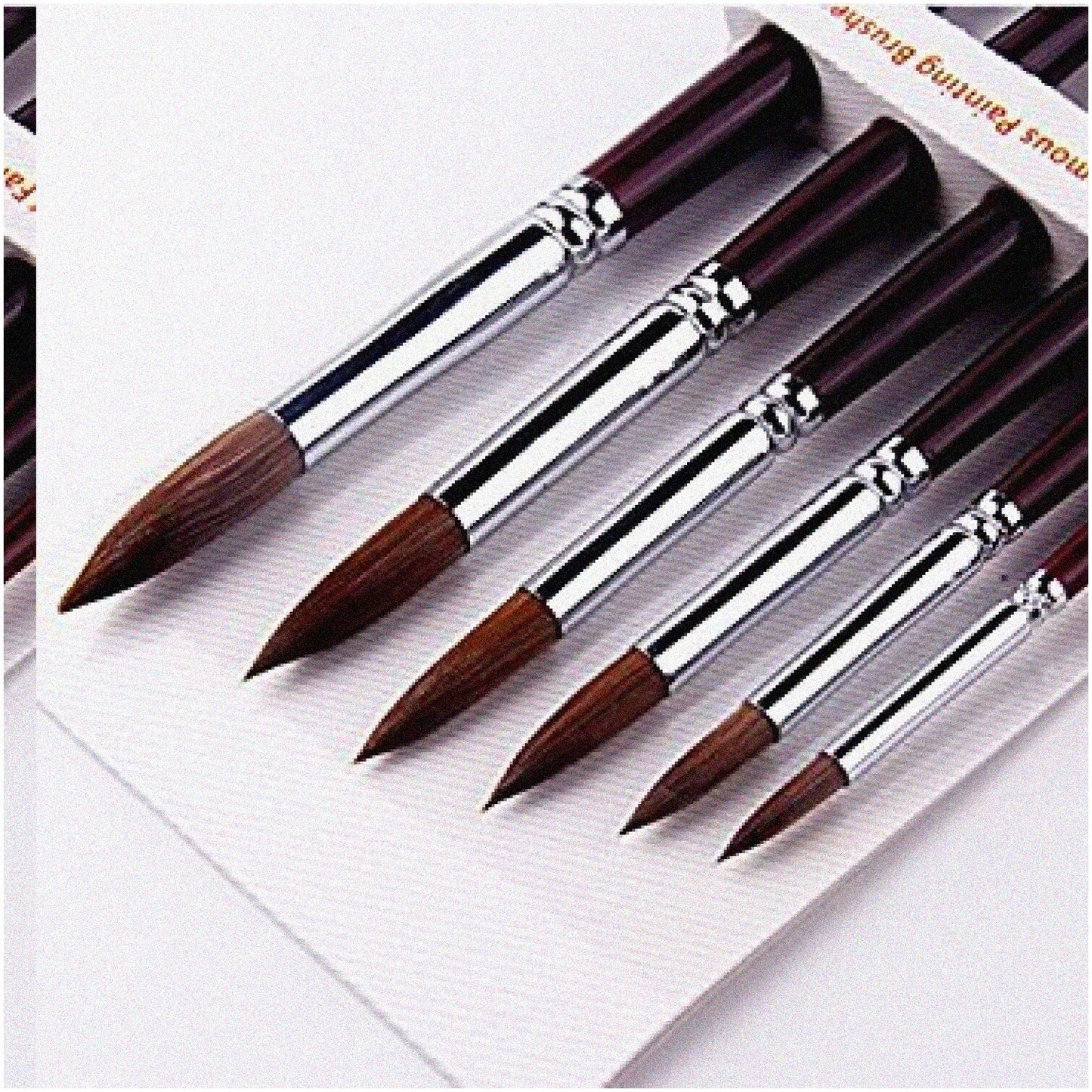 Watercolor Wonder Brush Set 6 Sizes Sable Round Tips