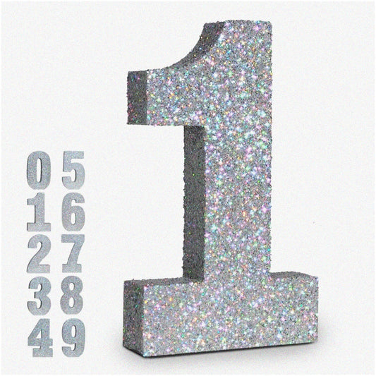 10 Pack Silver Fringe Curtains and Streamers 3.2x6.56 Feet