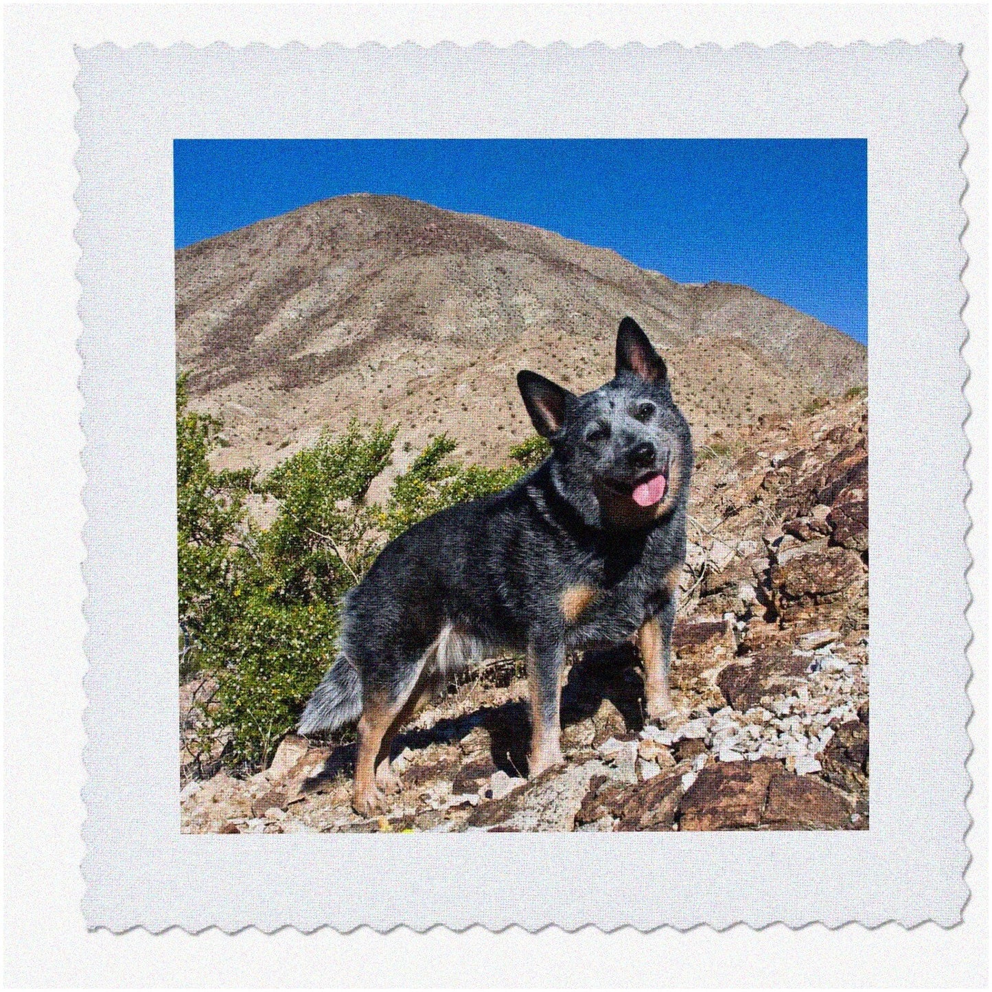 Australian Cattle Dog Quilt Square 8x8 Inches Polyester
