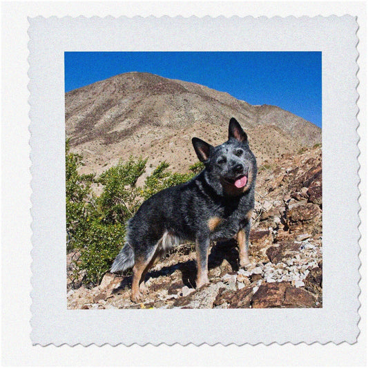 Australian Cattle Dog Quilt Square 8x8 Inches