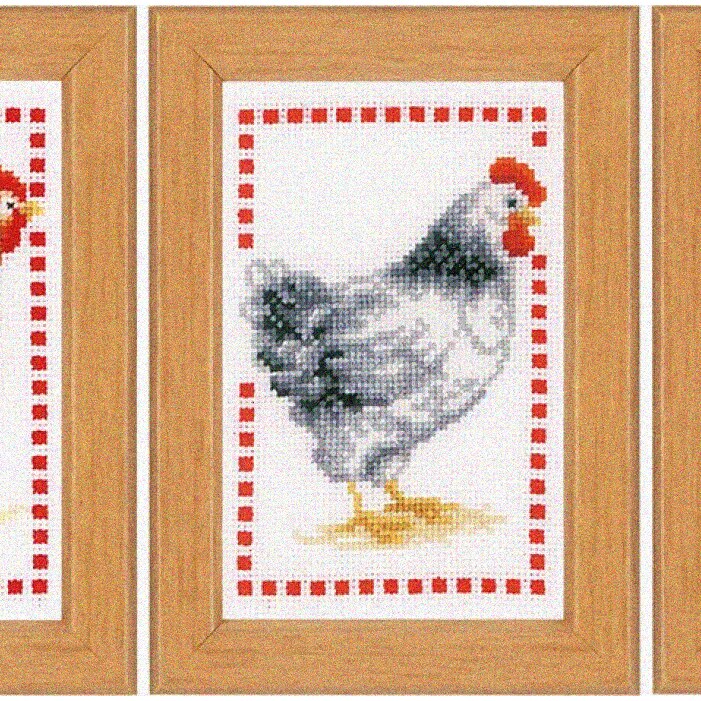 Feathered Friends Cross Stitch Kit for Beginners