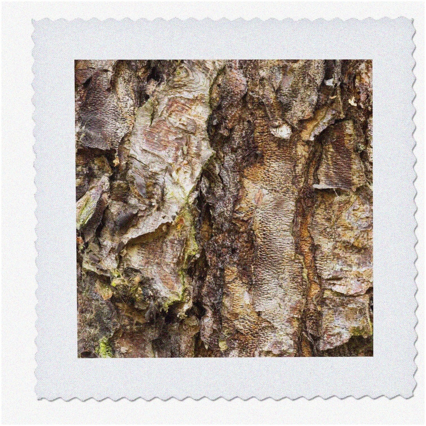 Birch Haven Quilt Square 12x12-Inch Artwork