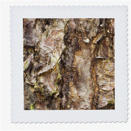 Birch Haven Quilt Square 12x12-Inch Artwork