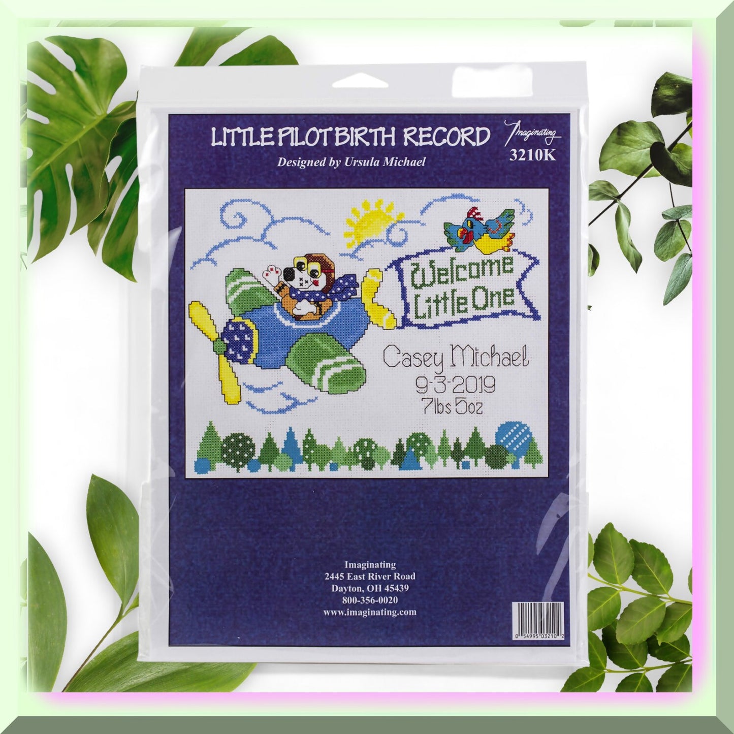 Petite Aviator Birth Record Kit for Kids