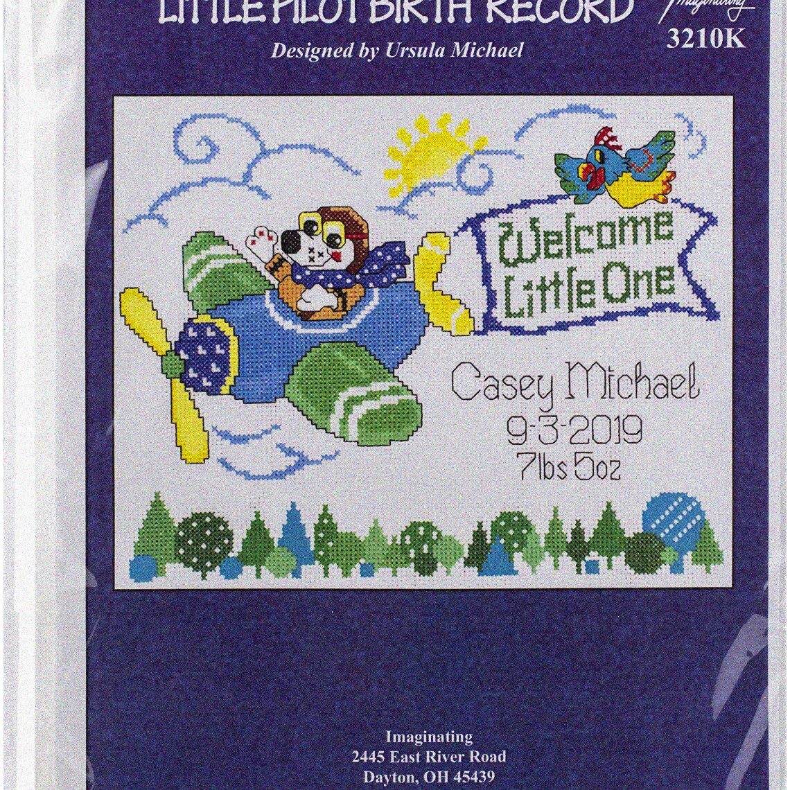 Petite Aviator Birth Record Kit for Kids