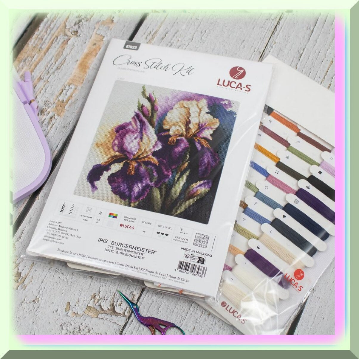 Cross Stitch Kit for Adults with Artistic Designs