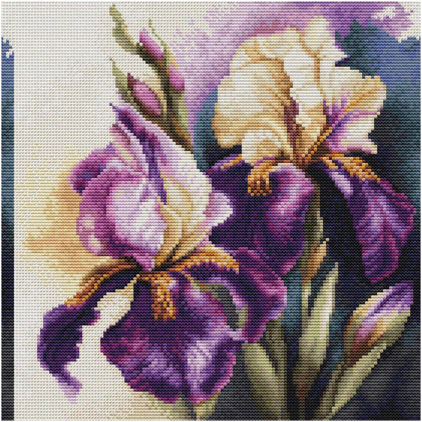 Cross Stitch Kit for Adults with Artistic Designs