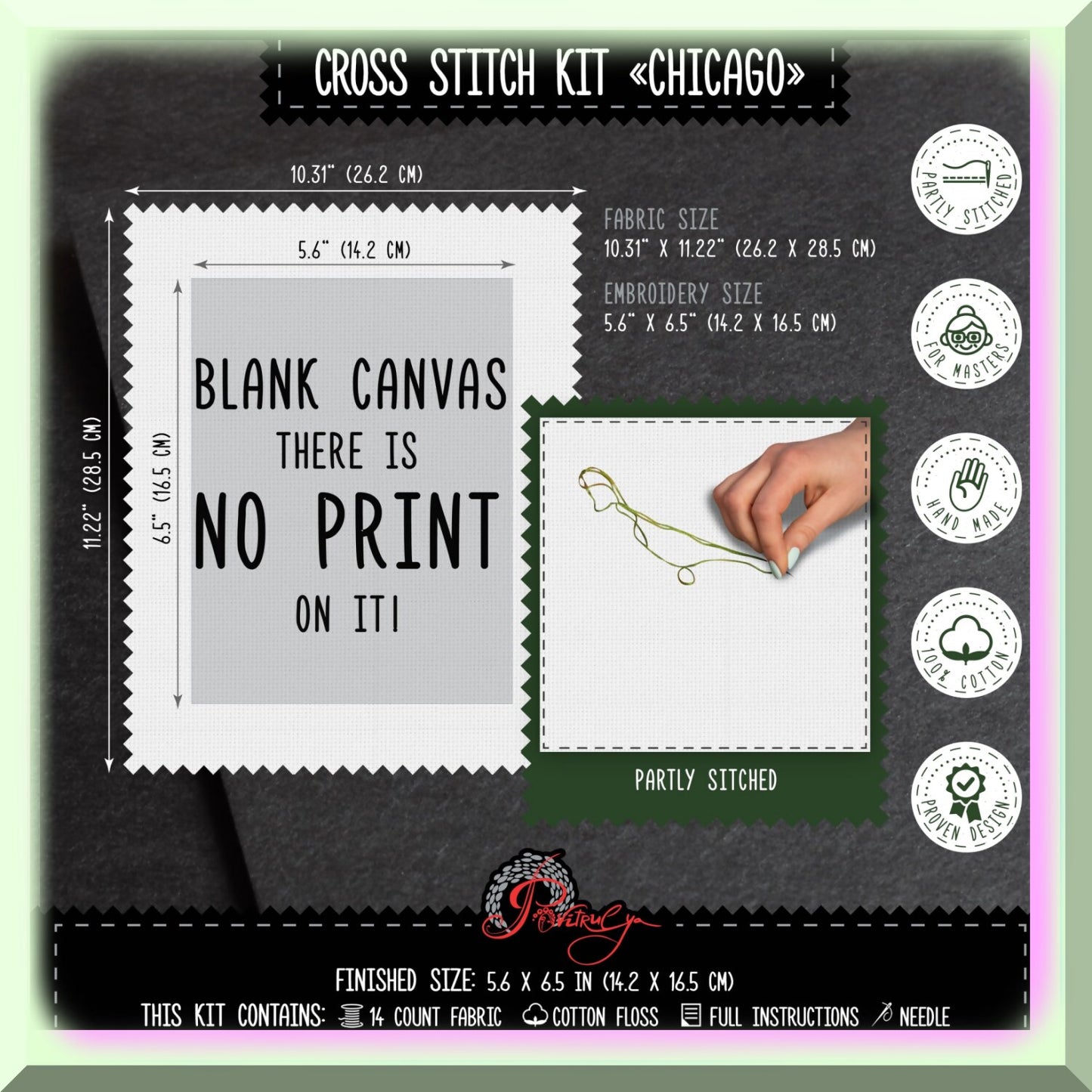 Chicago Cityscape Cross Stitch Kit for Adults