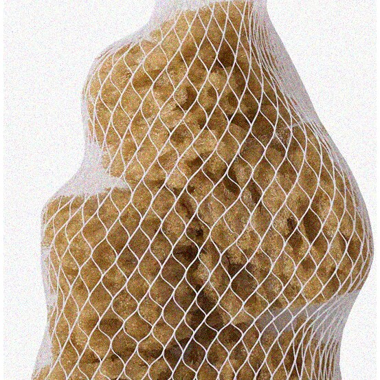 Petite Earthy Sponge Set - 5 Organic Small Sponges