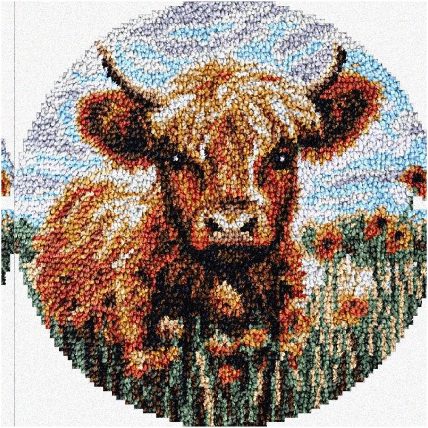 DIY Cross Stitch Kit for Floral Rug and Pillow Cover
