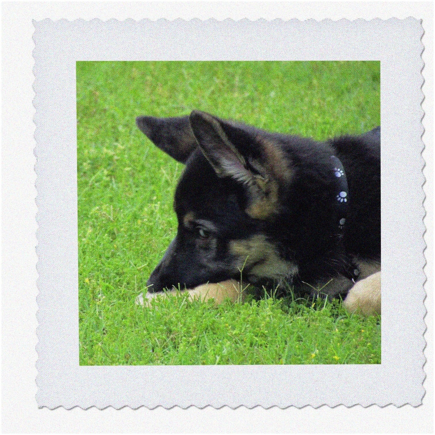 German Shepherd Pawsome Pup Quilt Patch 10x10-Inch