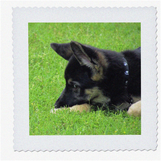 German Shepherd Pawsome Pup Quilt Patch 10x10-Inch
