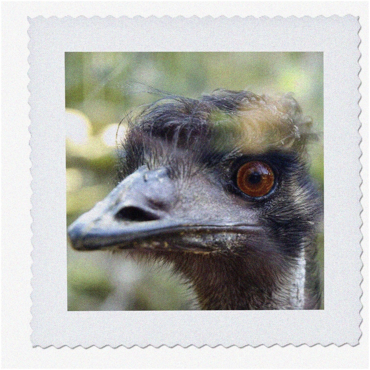 Australian Wildlife Quilt Square 6x6 Inch
