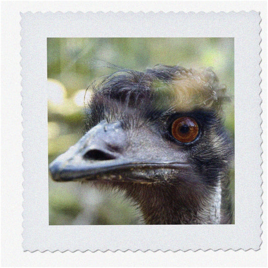 Australian Wildlife Quilt Square 6x6 Inch