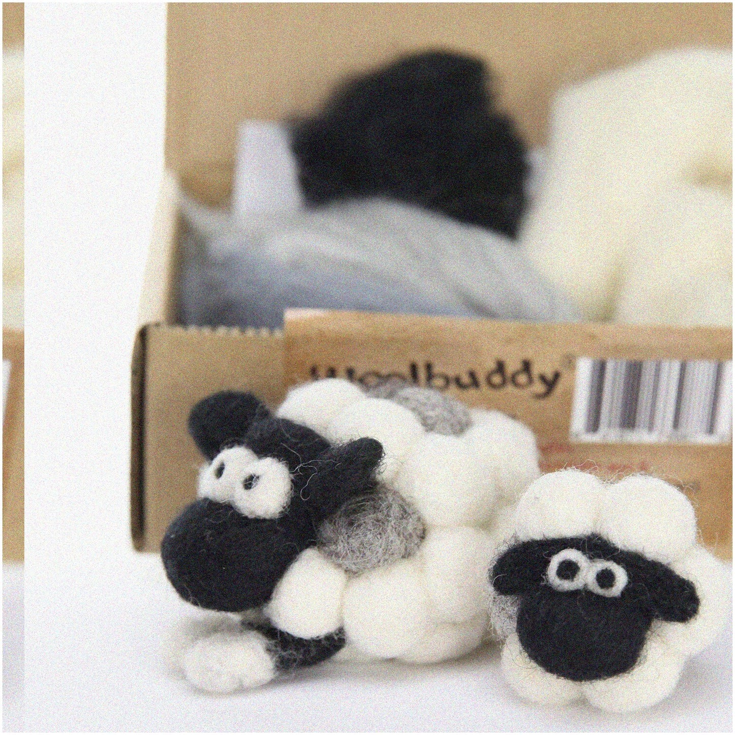 Beginner Wool Felting Kit with Needles and Step-by-Step Instructions