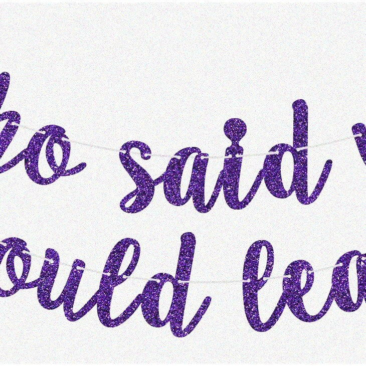 17th Birthday Glitter Banner 2.5m