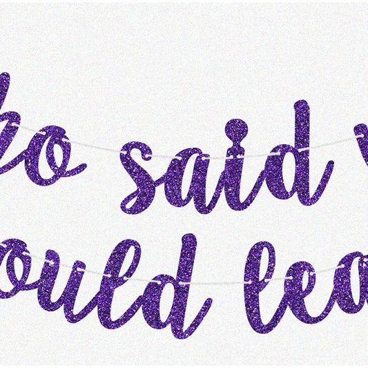 17th Birthday Glitter Banner 2.5m