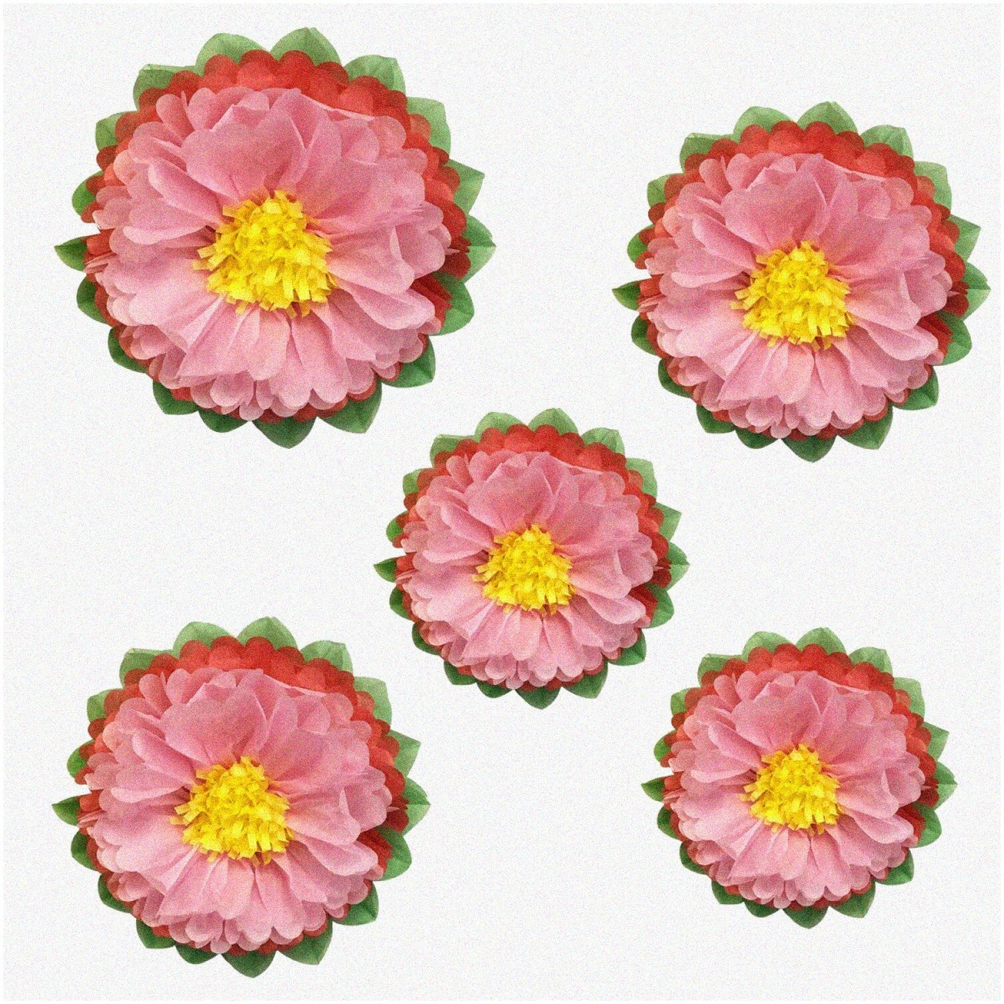 5 Tissue Flower Pom Poms in Melon and Pink