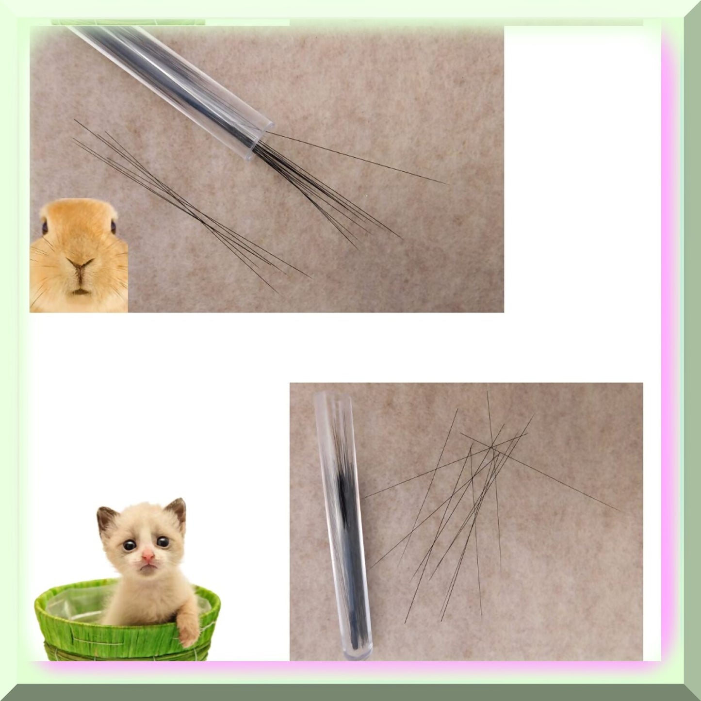 50-Pack White Animal Whiskers for Crafting and DIY Projects