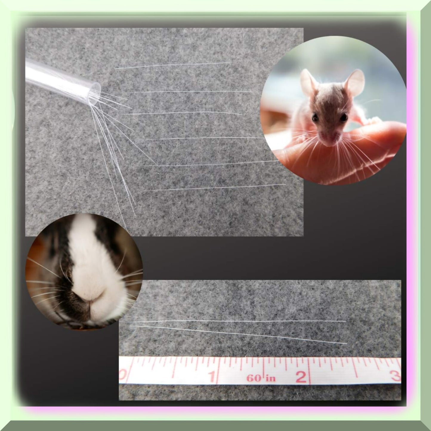 50-Pack White Animal Whiskers for Crafting and DIY Projects