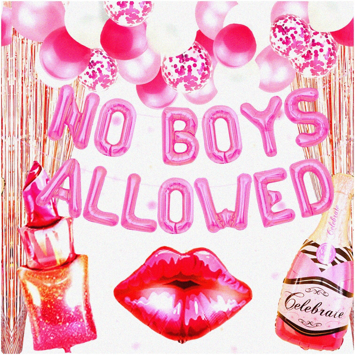 Divorce Party Decorations Set with Banner and Signs