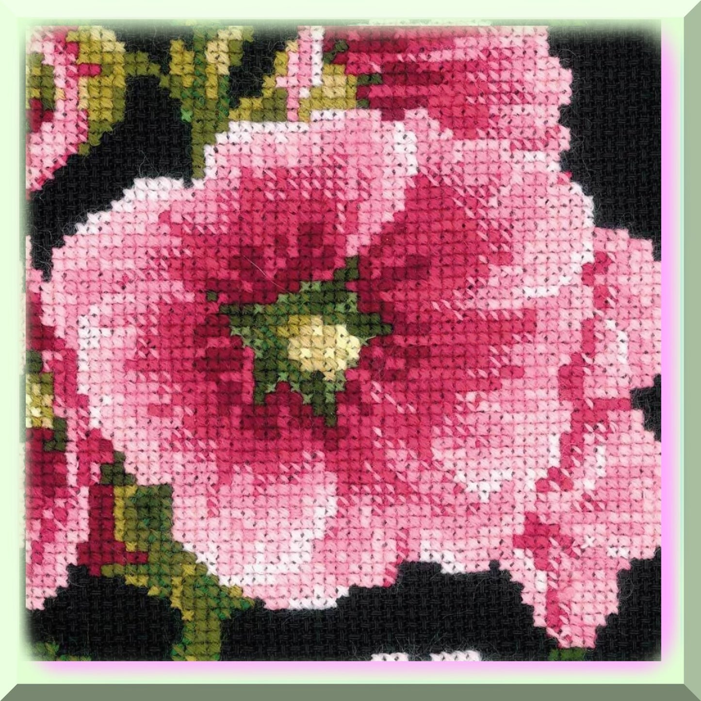 Cross Stitch Kit with Vibrant Colors and Black Aida Fabric