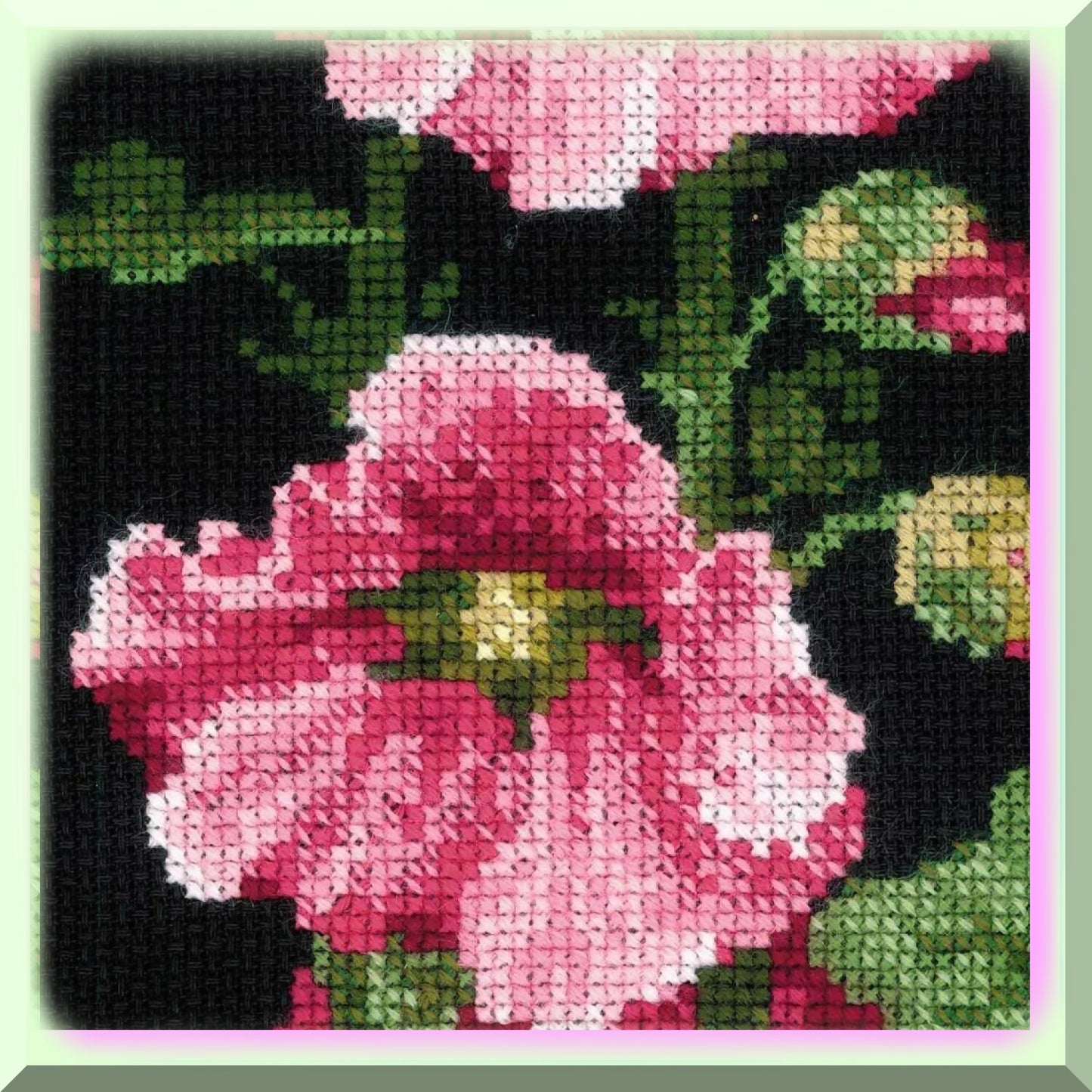 Cross Stitch Kit with Vibrant Colors and Black Aida Fabric